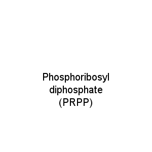 Phosphoribosyl diphosphate (PRPP)